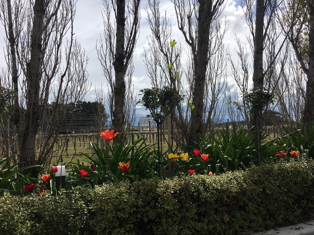 Aylstone Martinborough Hotel Exterior photo
